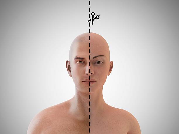 The Deceptive Simplicity of Last-Click Attribution for SEO