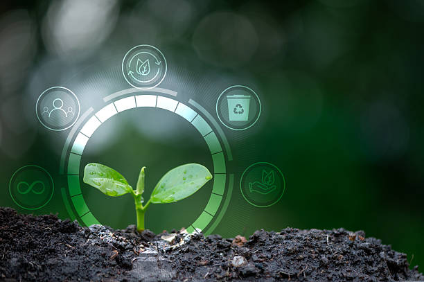 Unveiling Organic Search Trends with Advanced Segments