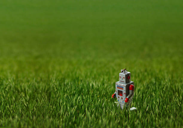 Mastering Crawl Budget Management with robots.txt