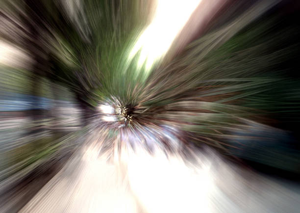 The Art of Discernment: Distinguishing Natural Momentum from Calculated Force