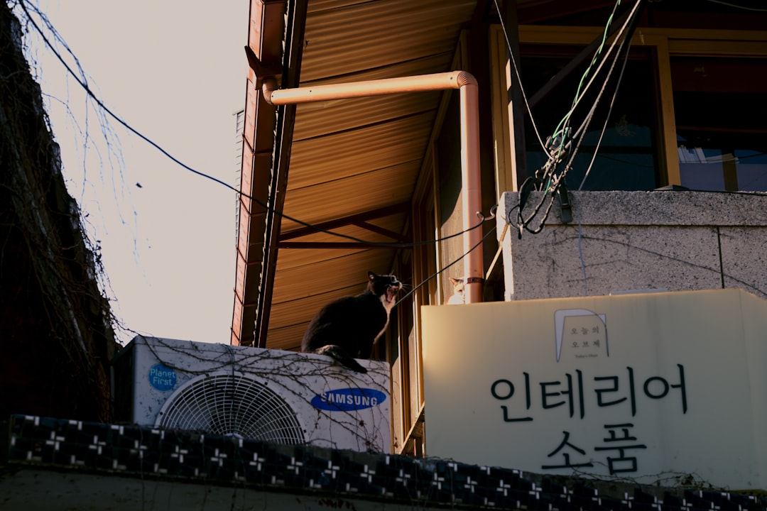 Why Tracking Local SEO Rankings Is Fundamentally Different