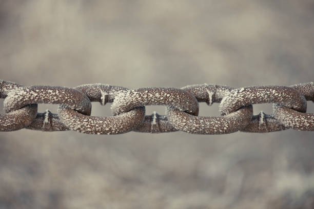The Essential Metrics for Gauging Backlink Authority