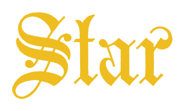 The Weight of Words: How Anchor Text Distribution Shapes Your SEO