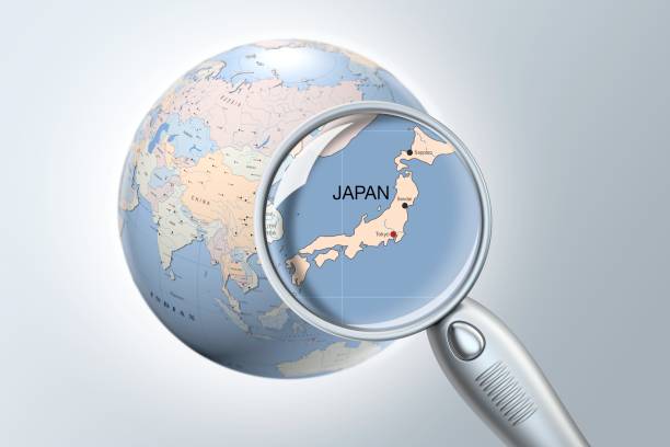 A Guide to Accessing and Exporting On-Site Search Data