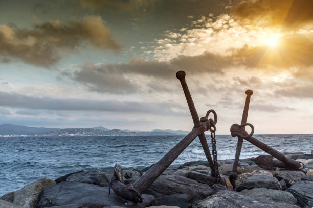 The Essential Guide to Tracking Anchor Text Distribution for Sustainable SEO