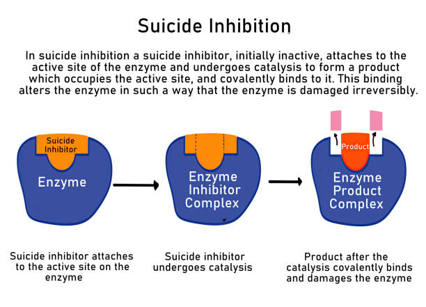 The Nuance of Difficulty: Why SERP Analysis Complements Competition Data
