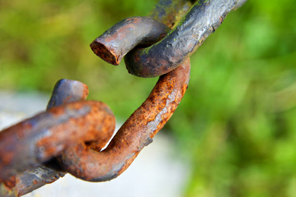 The Definitive Path to Repairing a Broken Internal Link