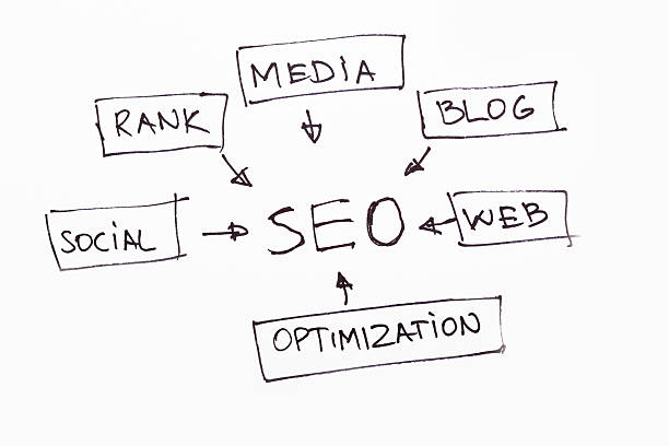 Decoding the Rhythm: How Often to Measure Share of Voice Versus Keyword Rankings