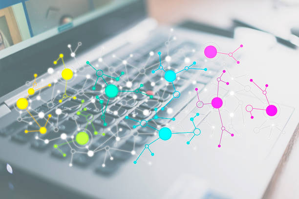 The Interaction Between Structured Data Markup and Unstructured Citation Signals in Local Pack Rankings