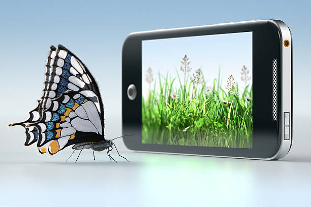 Beyond the Mobile Usability Report: Diagnosing Hidden UX Friction with GSC and RUM Data