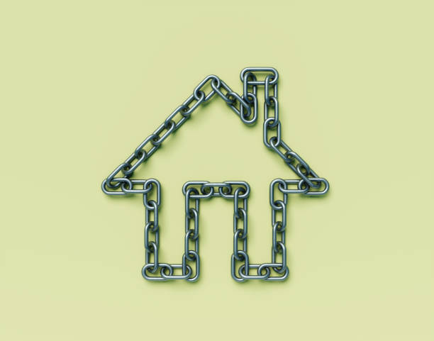 Why Referring Domain Diversity is Your SEO Growth Engine