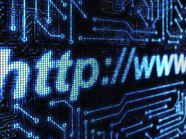 Deciphering the Velocity of Trust: Domain Growth Rate as a Diagnostic Signal