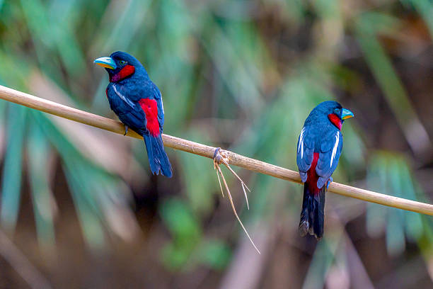 The Cross-Device Conundrum: How Fragmented User Journeys Challenge Attribution