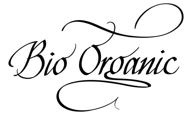 The Essential Guide to Meta Descriptions: Does Every Page Need a Unique One?