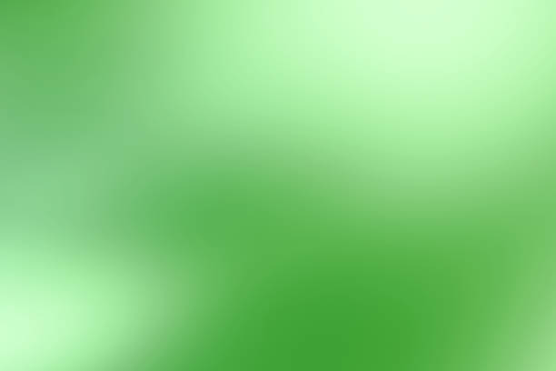 Understanding Your Core Web Vitals Report: A Guide to Key Metrics