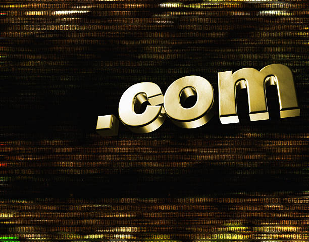 The Hidden Signal of Domain Age in Referrer Growth: Why Young Links Don’t Win