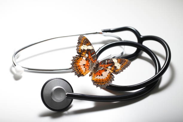 Diagnosing a Drop in Local Pack Rankings