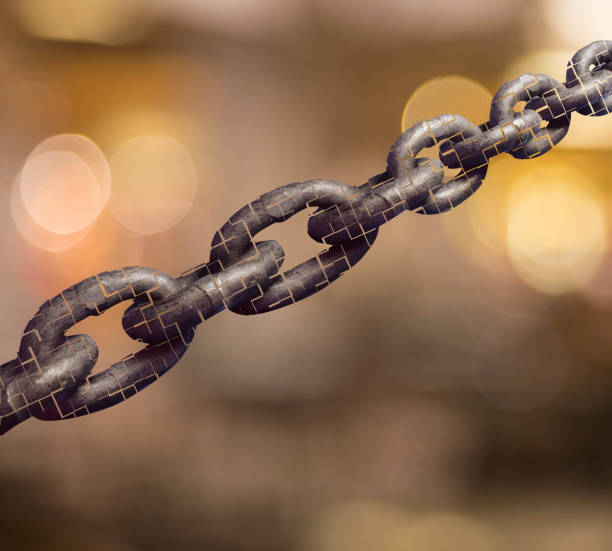 The Subtle Art of Anchor Text Diversity in Internal Linking Audits