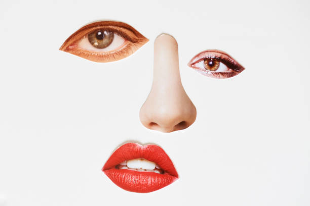 Understanding Zero-Results Search Queries and How to Respond