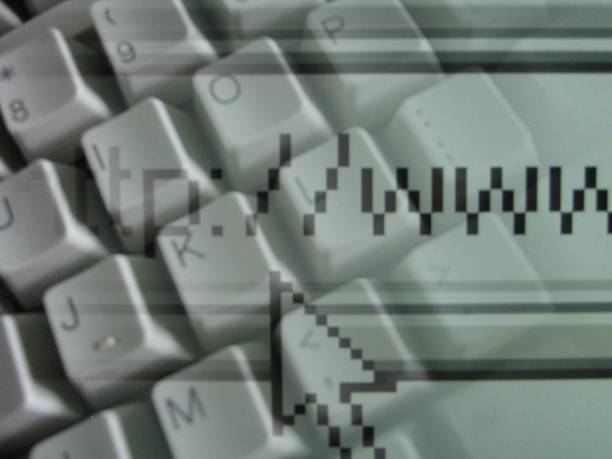 The Hidden Noise in Search Volume Data: Beyond the Aggregate Average