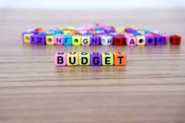 JavaScript Execution and Crawl Budget: Deconstructing Competitor Strategies